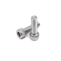 Bottle Bidon Cage/Stem Bolts Stainless Steel (Pair) M5 x 20mm Silver